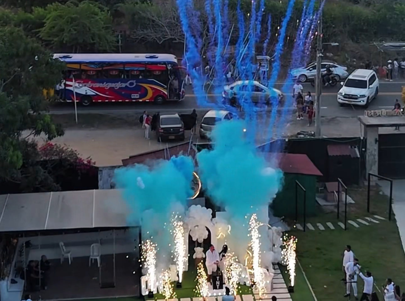 Cargar video: Revelaciones de genero Profesionales AZUL
